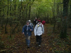 Randonnée du 04/11/2012 à 37 Truyes