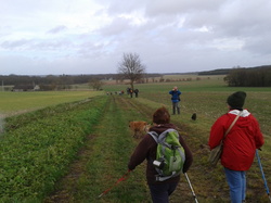 Randonnée du 15/12/2012 à Azay sur Cher