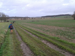 Randonnée du 15/12/2012 à Azay sur Cher