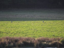 Randonnée du Brâme - ROUZIERS