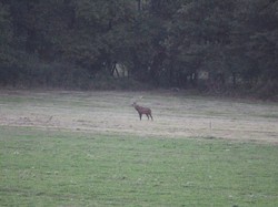 Randonnée du Brâme - ROUZIERS