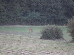 Randonnée du Brâme - ROUZIERS