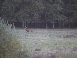 Randonnée du Brâme - ROUZIERS