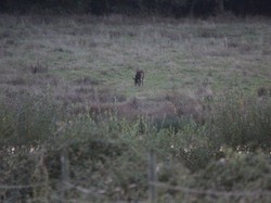Randonnée du Brâme - ROUZIERS