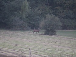 Randonnée du Brâme - ROUZIERS