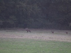 Randonnée du Brâme - ROUZIERS