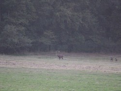 Randonnée du Brâme - ROUZIERS