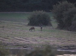 Randonnée du Brâme - ROUZIERS