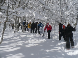 Randonnée Raquettes avec Les Vadrouilleurs du Val du Cher à Super Besse 09 février 2013