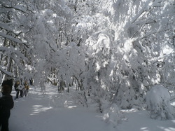 Randonnée Raquettes avec Les Vadrouilleurs du Val du Cher à Super Besse 09 février 2013