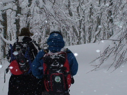 Randonnée Raquettes avec Les Vadrouilleurs du Val du Cher à Super Besse 09 février 2013
