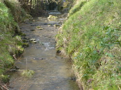 Randonnée Rochecorbon de 14 et 8 km 03/03/2013