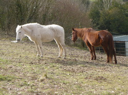 Randonnée Rochecorbon de 14 et 8 km 03/03/2013