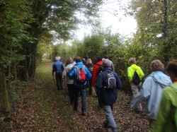 Randonnée Saint Roch 11,750 km