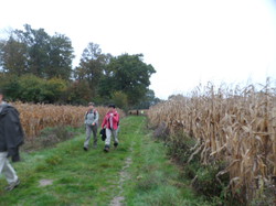 Randonnée Saint Roch 11,750 km