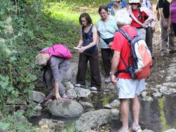 Randonnée Semblançay