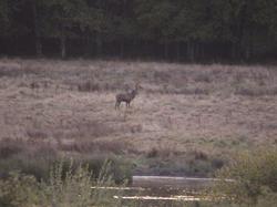 Randonnée Semblançay