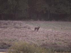 Randonnée Semblançay