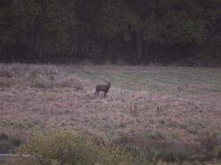 Randonnée Semblançay