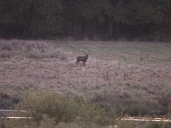 Randonnée Semblançay