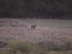 Randonnée Semblançay