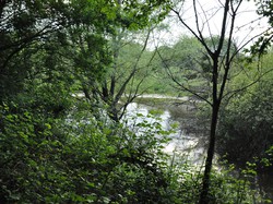 Randonnée semi-nocturne