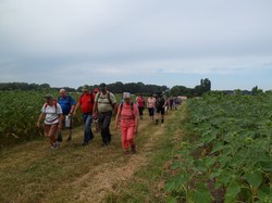 Randonnée surprise 01/07/2018