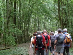 Randonnée surprise 01/07/2018