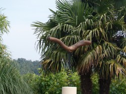 Randonnée surprise 01/07/2018