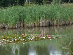 Randonnée surprise 01/07/2018