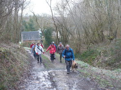 Randonnée Villebourg 03 février 2013