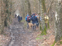 Randonnée Villebourg 03 février 2013