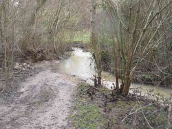 Randonnée Villebourg 03 février 2013