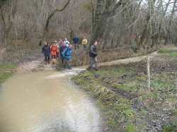 Randonnée Villebourg 03 février 2013