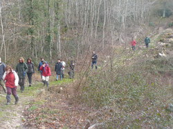 Randonnée Villebourg 03 février 2013