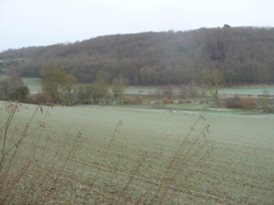 Randonnée Villebourg 03 février 2013