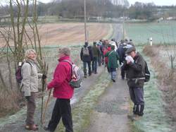 Randonnée Villebourg 03 février 2013