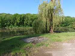 Rouziers-de-Touraine Barbecue 26/05/2024