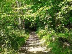 Rouziers-de-Touraine Barbecue 26/05/2024