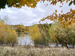 Saint-Aubin-Le-Dépeint 02/11/2025