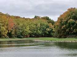 Saint-Aubin-Le-Dépeint 02/11/2025