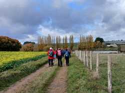 Saint-Aubin-Le-Dépeint 02/11/2025