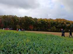 Saint-Aubin-Le-Dépeint 02/11/2025