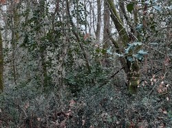 Saint-Benoit-la-Forêt 18/03/2023