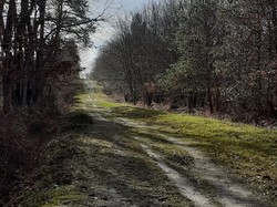 Saint-Benoit-la-Forêt 18/03/2023