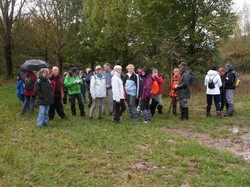 SAINT MICHEL SUR LOIRE 16/11/2019