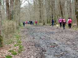 Saint-Roch 16/03/2024