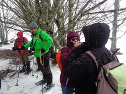 Séjour raquettes en Auvergne