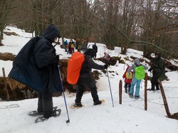 Séjour raquettes en Auvergne