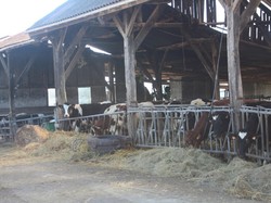 Randonnée et visite à SONZAY